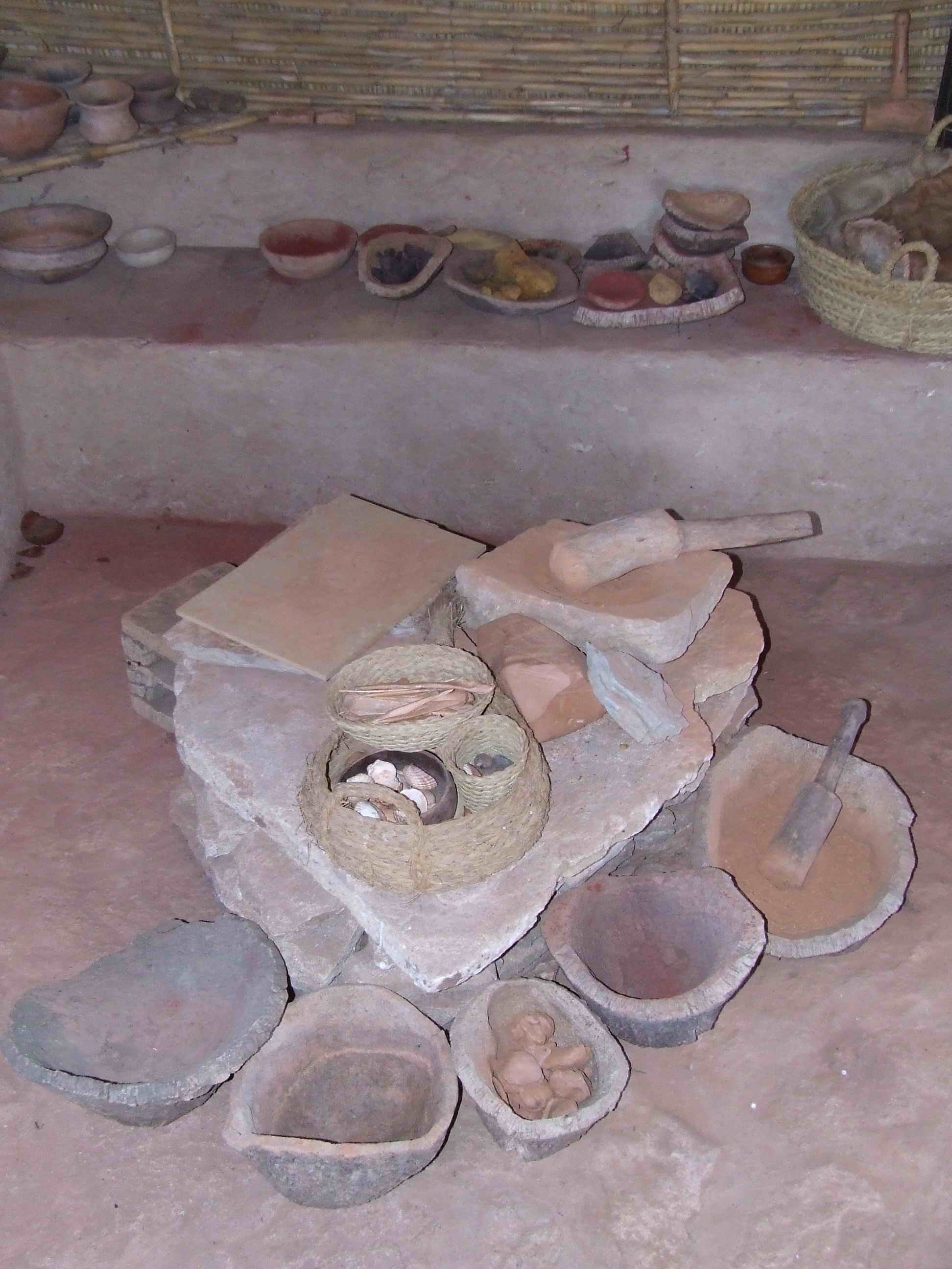 TAXOMARA 2010 007